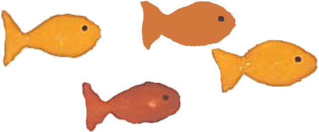 Always Too Quick - Pomacentridae (1417x403)