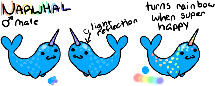 Narwhal Ref By Converse-kitten - Narwhal Ref By Converse-kitten (900x371)