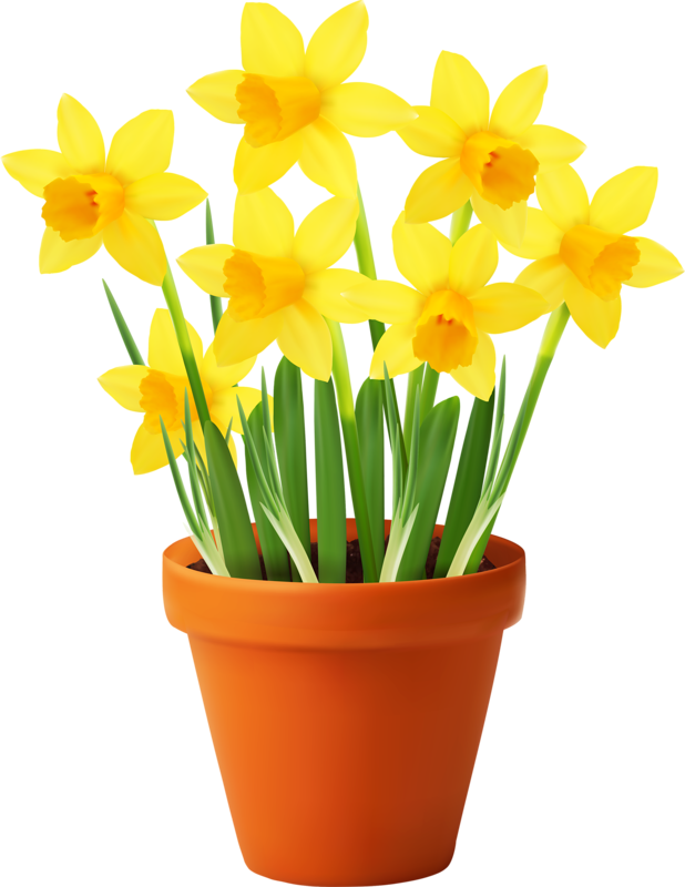 Publicat De Eu Ciresica La - Flower Pot Garden Clipart Png (618x800)