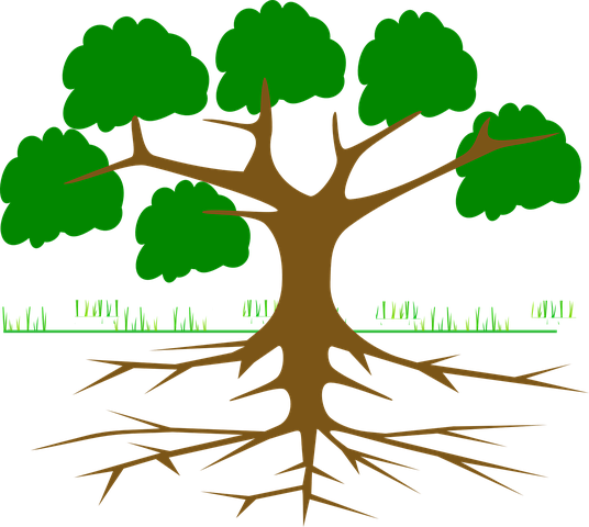 Sewer Problems Tree Roots - Digital Marketing Tree (536x480)