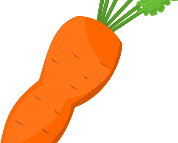 Carrot Clipart Carrot Root - Carrot Clipart Carrot Root (640x480)