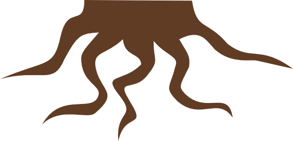 Root Clipart - Roots Clip Art (600x289)