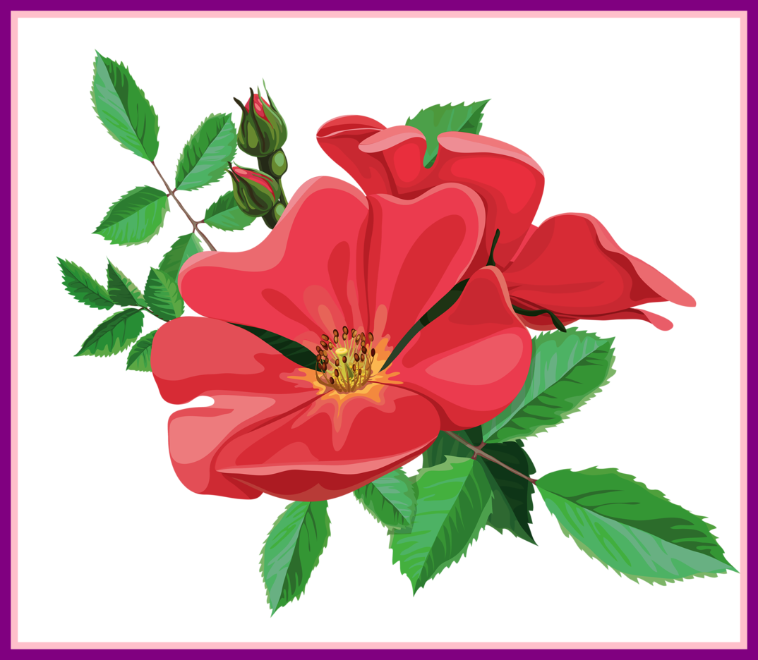 Red Rose Bouquet Red Rose Bouquet Clipart Marvelous - Clip Art (1074x936)