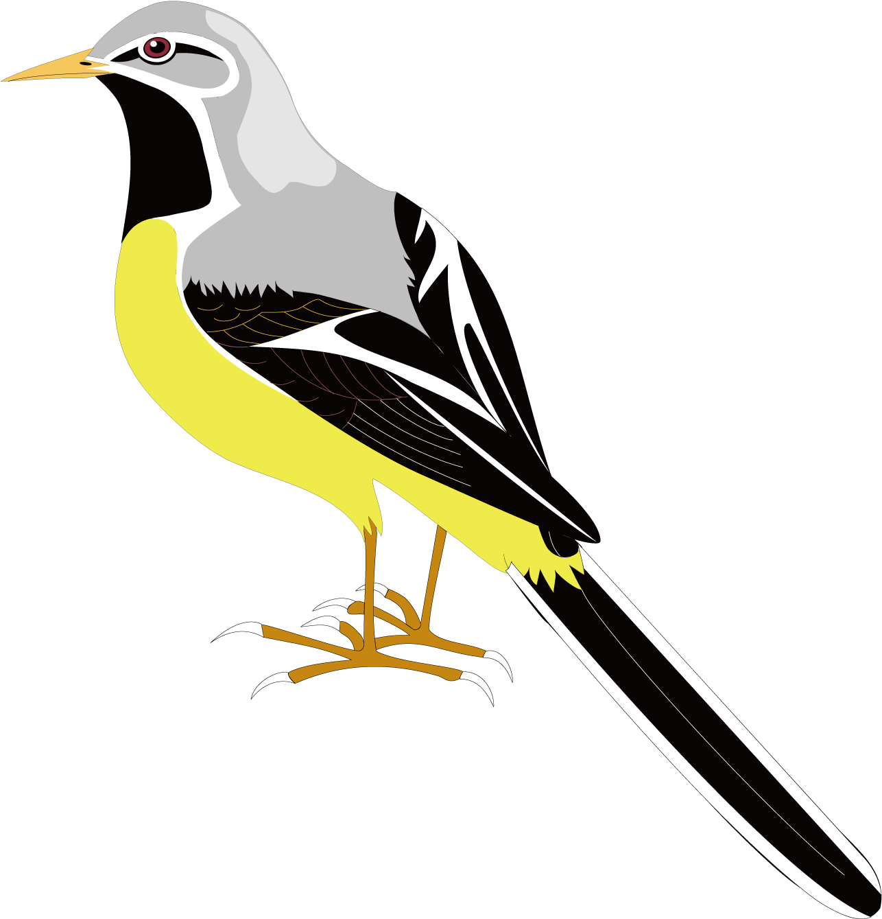 Bird Clip Art - Transparent Mockingbird Clipart (1500x1500)