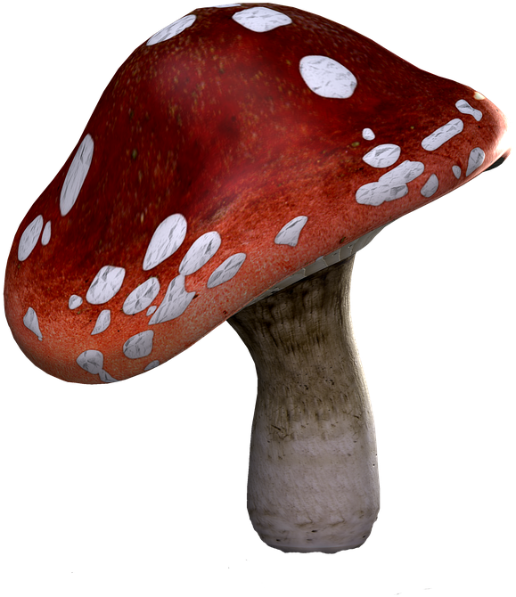 Fly Agaric, Mushrooms, Fantasy, Digital Art, Isolated - Fly Agaric (960x720)