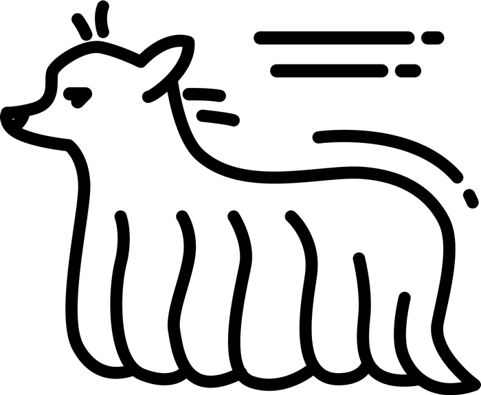 Yorkshire Terrier Rubber Stamp - Terrier (700x575)