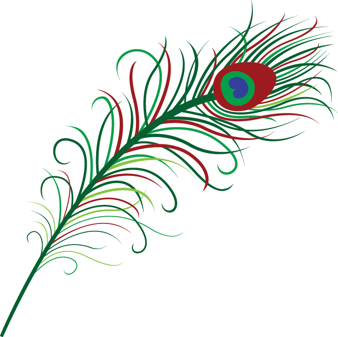 Peafowl Clipart Colourful Peacock - Peacock Feather Vector Png (689x686)