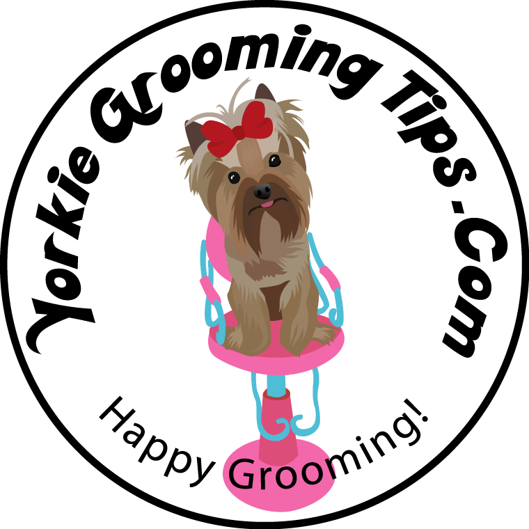 Yorkshire Terrier (760x760)