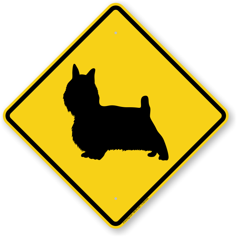 Yorkie Symbol Guard Dog Sign - Road Sign With Car (800x800)