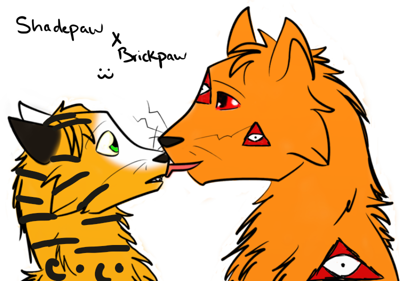 Brickpaw X Shadepaw By Pine Apple Pie - Cartoon (800x562)