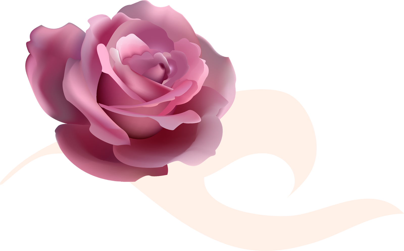 Png Клипарт "розы" - Rose (1600x993)