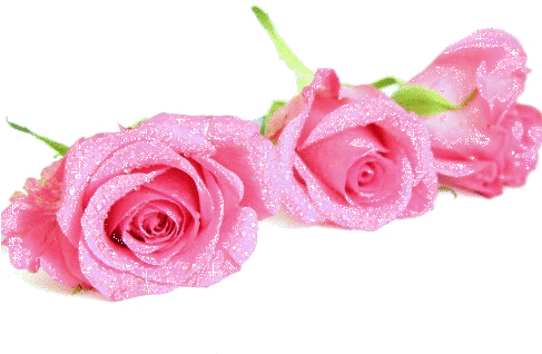 Pink Flower Tumblr Backgrounds Flower Png - Beautiful Pinl Rose Transparent (486x324)