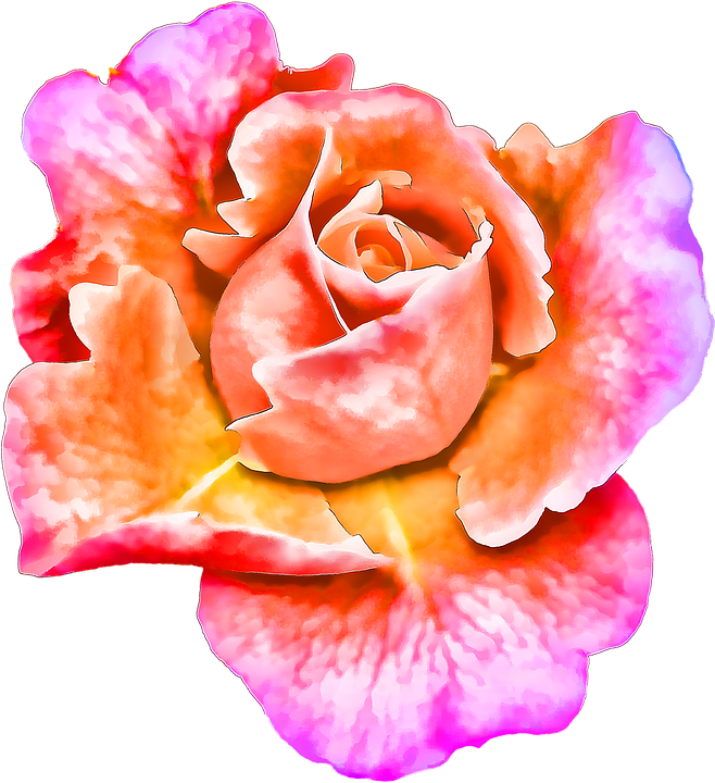 Flower, Painting, Art, Creative, Pink Flower, Spring - Color In Scripture: A Creative And Inspirational Adult (658x720)