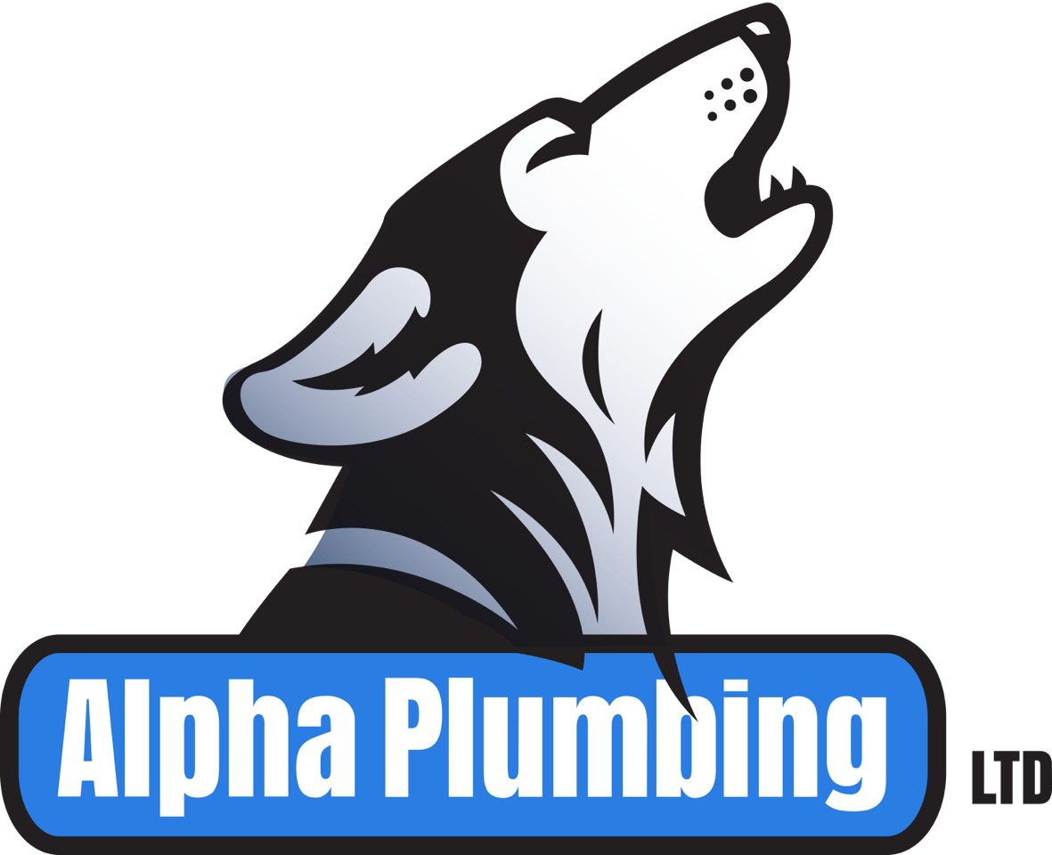 Alpha Plumbing Calgary - Alpha Plumbing Ltd (1181x960)