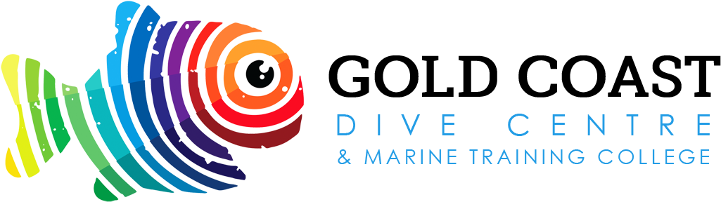 Snorkel With The Fish - Gold Coast Dive Centre (1110x354)