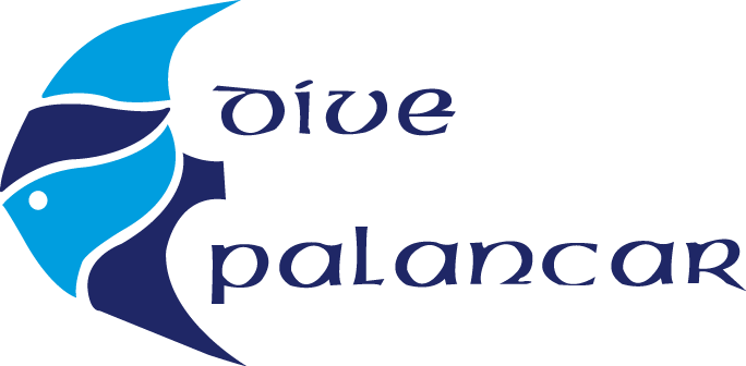 Logo Dive Palancar Logo Dive Palancar Logo Dive Palancar - Cozumel (684x336)