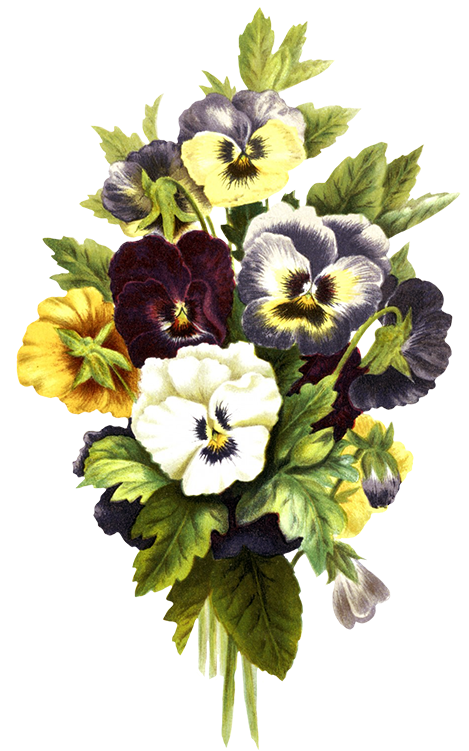 Rose Vase Drawing - Transparent Bunch Flowers (468x768)