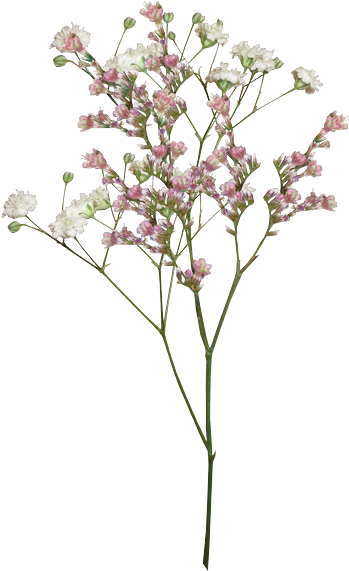 Фото, Автор Хан Надежда На Яндекс - Png Aesthetic (392x600)