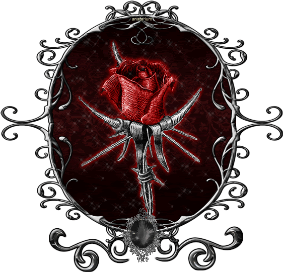 Bloody Rose - Bloody Rose Transparent (569x552)