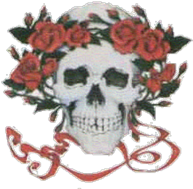 Dr Mark - Grateful Dead Skull And Roses (400x400)