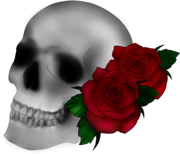 Skull N Rose By O0oalexao0o - Skull (862x926)