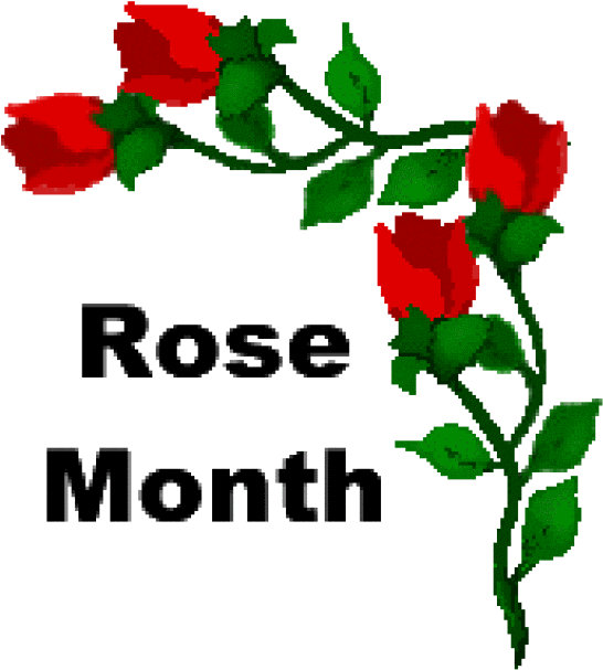 Red Rose Clipart Divider - Funny Peanut Butter Quotes (640x672)