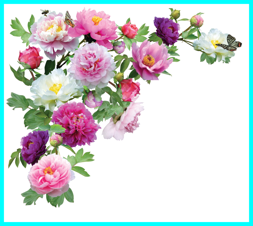 Stunning Flowers Png Hd For Bouquet Style And Dental - Vibrant Flowers Transparent (977x874)