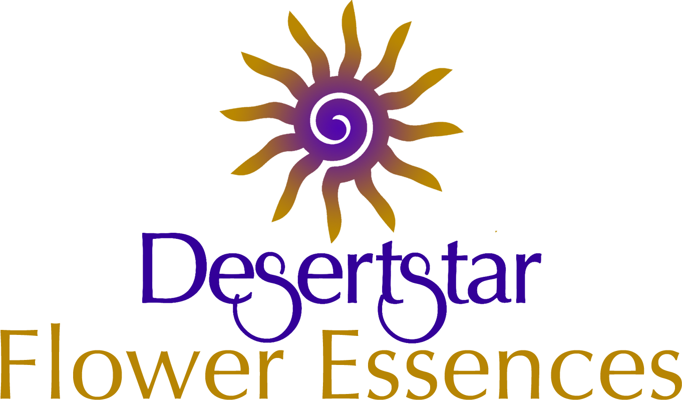 Desertstar Flower Essences - Graphic Design (1362x799)