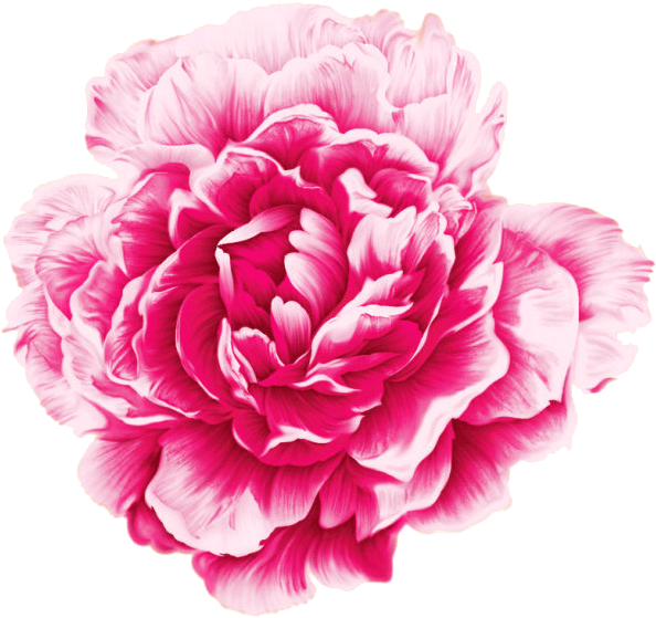 34，可使用adobe - Watercolor Blue Peony (650x626)