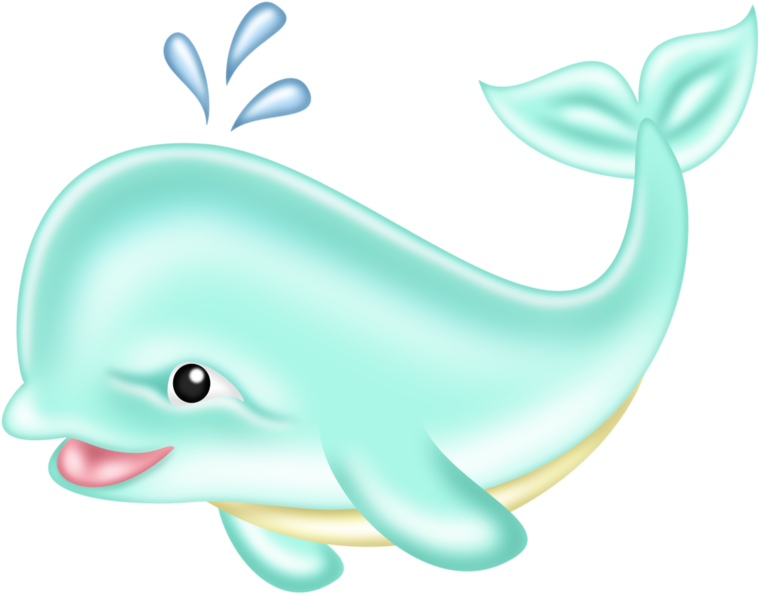 Drawing Dolphin Clip Art - Cetacea (800x681)