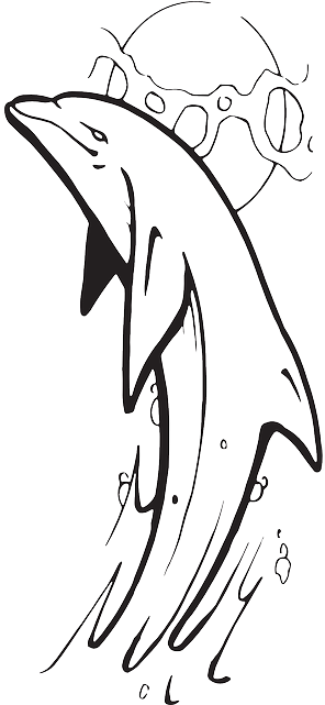 Water, Outline, Out, Dolphin, Show, Jumping - Dolphan Jumping Out Water Drawing (320x640)