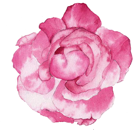 Watercolour Flowers Watercolor Painting Illustration - Pink Flowers Watercolor Png (800x800)