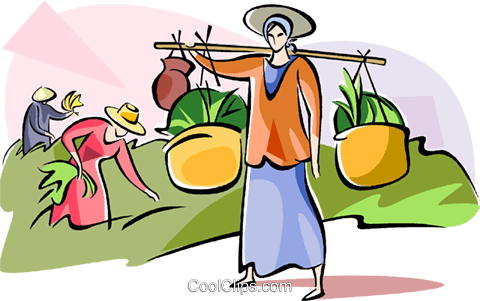 Woman Carrying Rice Plants Royalty Free Vector Clip - Cartoon (480x301)
