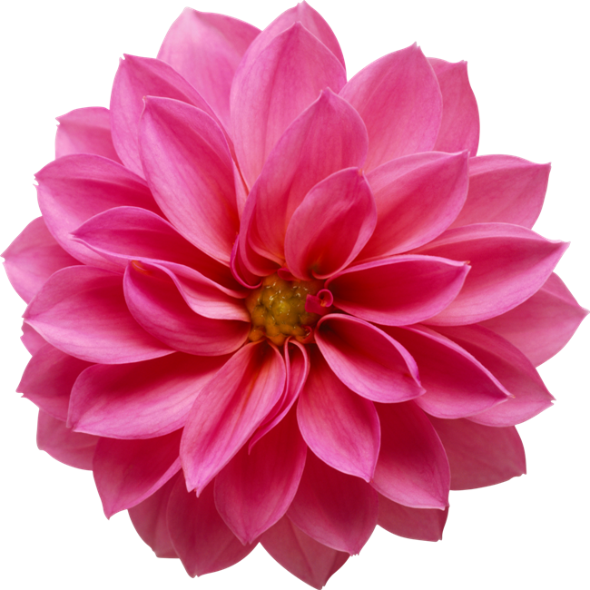 Yanıtla - Big Flower Png (650x650)