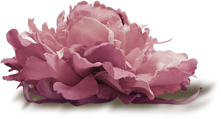 «красивый Клипарт *цветы*» Png - Fairy Tale (800x453)