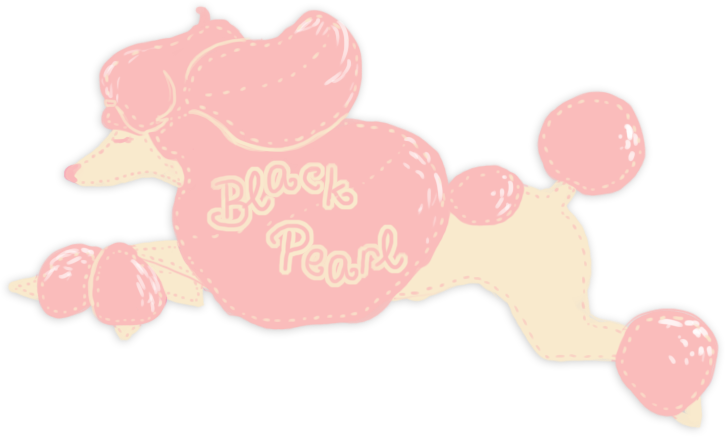 Black Pearl Poodles Logo And Info By Leavingneverland - Standard Poodle (725x437)