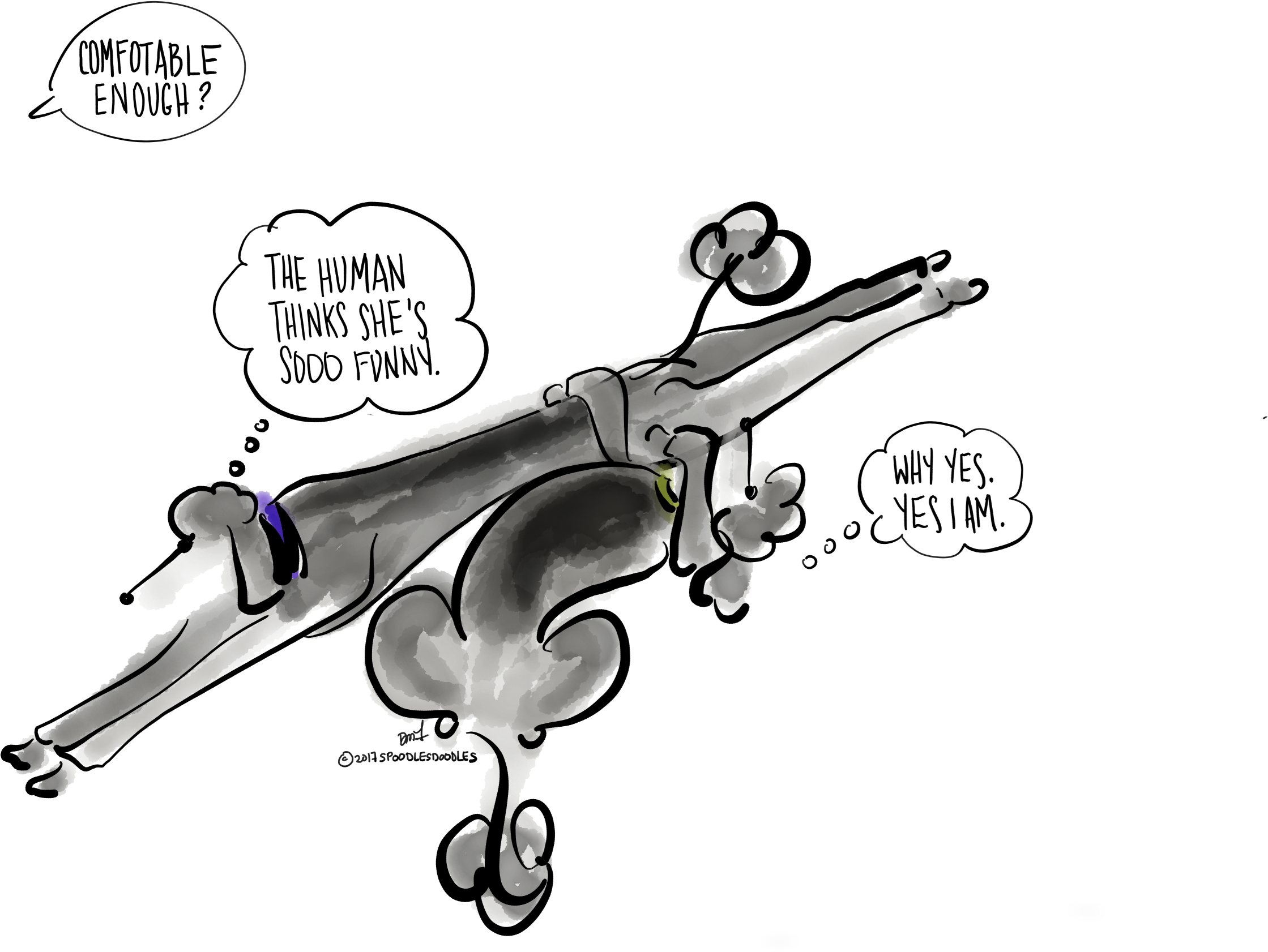 Standard Poodles, Poodles - Cartoon (2731x2048)