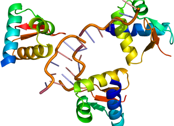 Gene Splicing - Adar Enzyme (610x420)
