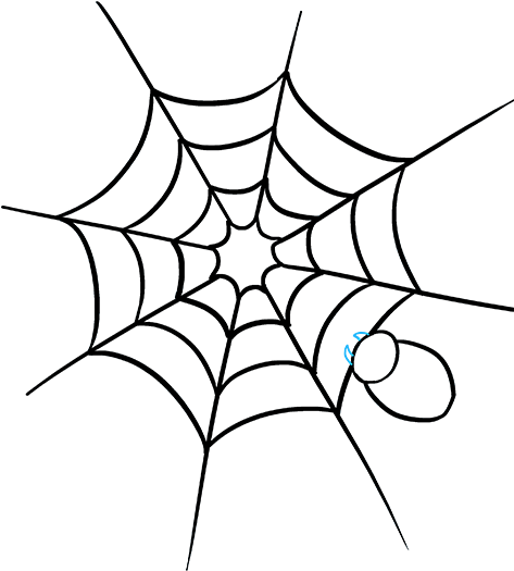 How To Draw How To Draw A Spider Web With Spider In - Draw A Spider Web (678x600)