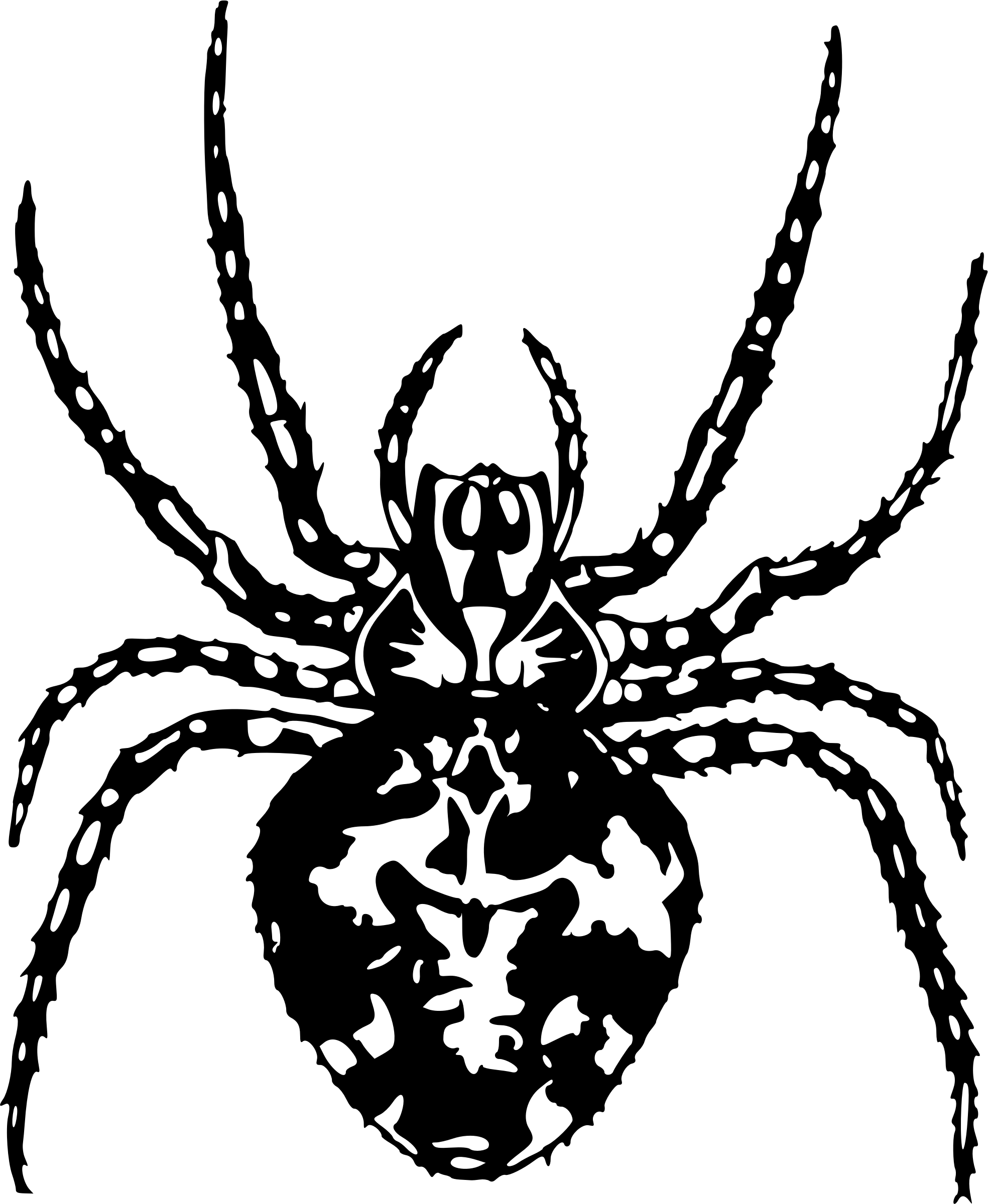 Spider2 Bclipart - Araignée Dessin (1968x2400)