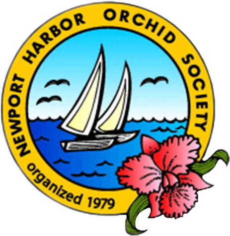 Established In - Newport (512x512)