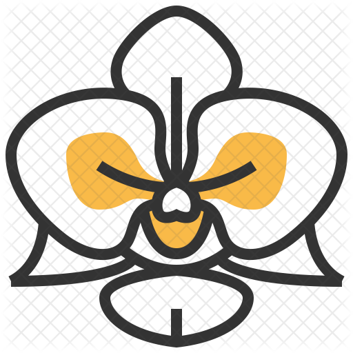 Orchid Icon - Department Of Homeland Security (512x512)