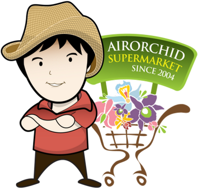 Air Orchid - Orchids (400x400)
