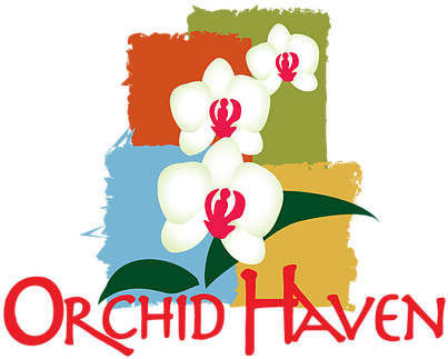 Distributors Of Premium Quality Orchids Plants For - Flower (415x388)