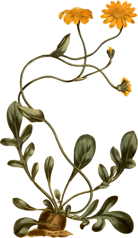 Medium Image - Medium Image (461x793)