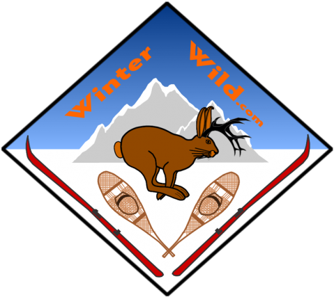 Winter Wild Logo - Winter (490x443)