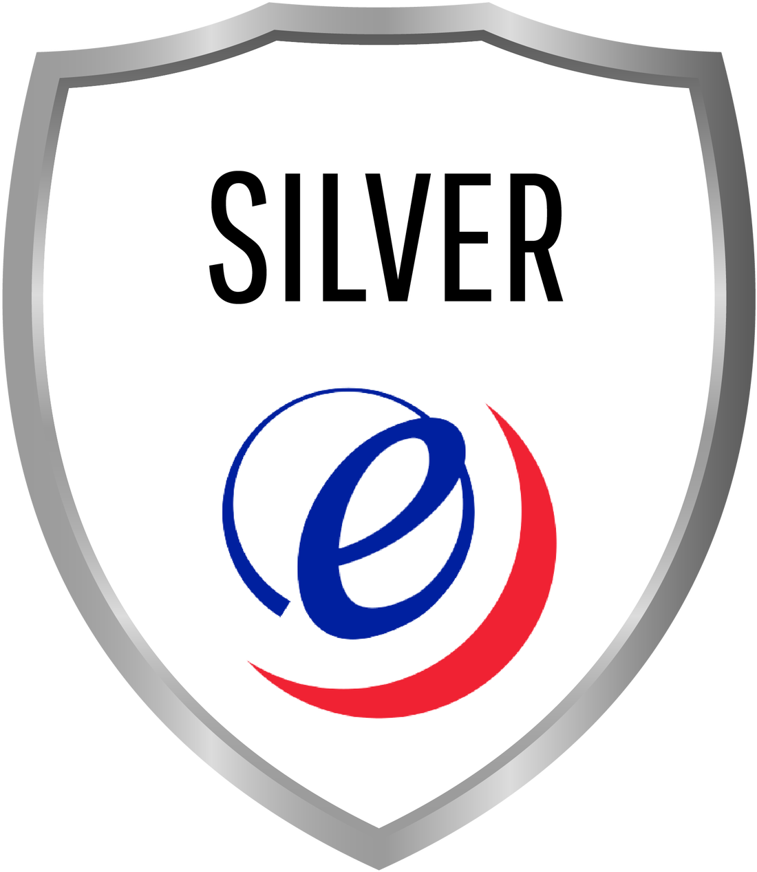 Silver 1 Year Protection Plan For Electric Tankless - Eccotemp (1280x1280)