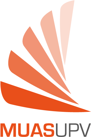 Máster En Construción, Pilotaje Y Aplicaciones De Sistemas - Technical University Of Valencia (600x600)