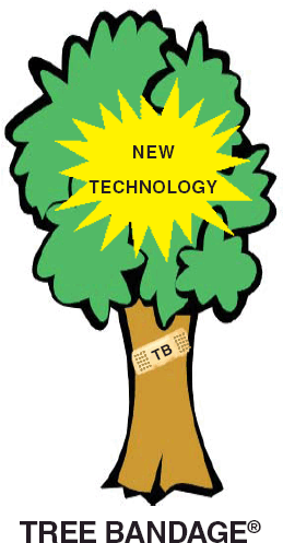 Tree Bandage - " - Best Day (boy Version) [book] (278x503)