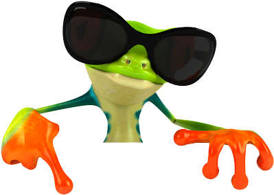 Costa Rica Gurus - Frosch Lustig Bild (450x307)